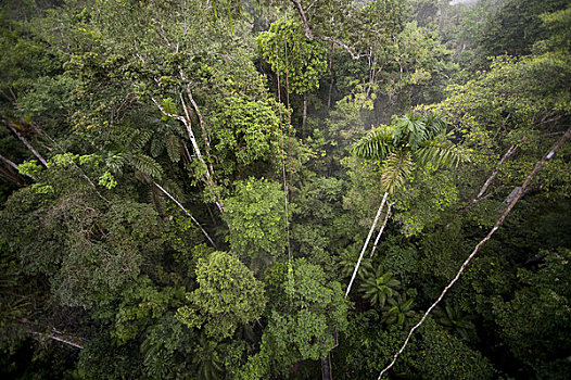 亚马逊雨林,住宿,厄瓜多尔