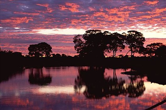 巴拉圭,河,日落,潘塔纳尔,巴西