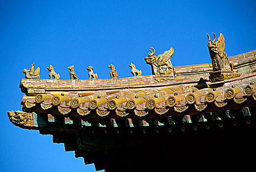 中国,北京,故宫,屋顶