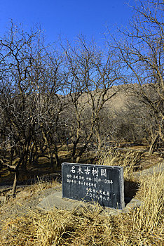 南长滩村