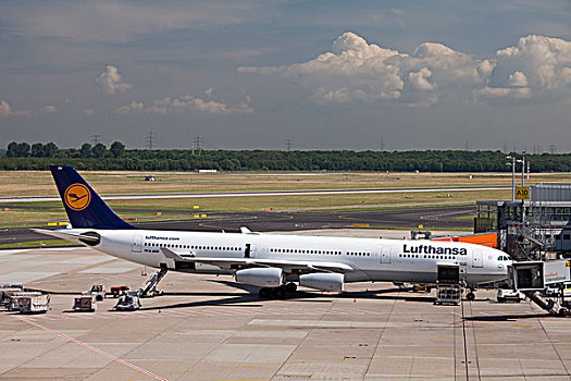 汉莎航空公司,飞机,大门,空中客车,杜塞尔多夫,机场,莱茵兰,区域,北莱茵威斯特伐利亚,德国,欧洲