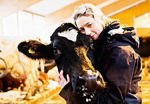女人,母牛,谷仓,瑞典