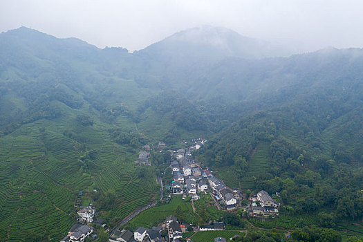 航拍西湖龙井村