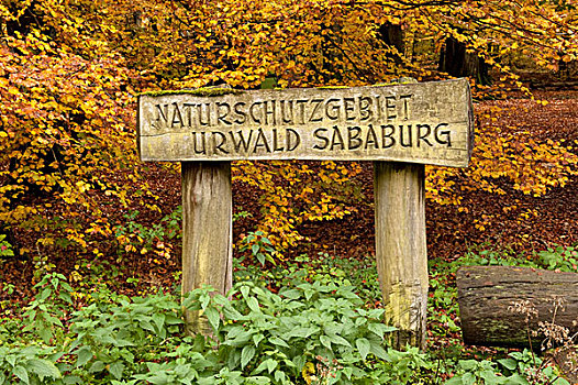 入口标志,自然保护区,树林,霍夫根斯玛尔,北方,黑森州,德国,欧洲