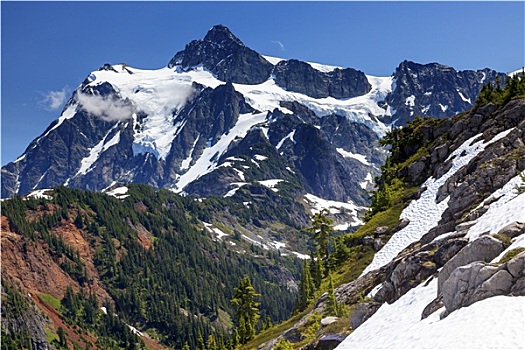 远足,雪原,艺术家,冰河,舒克森山,华盛顿