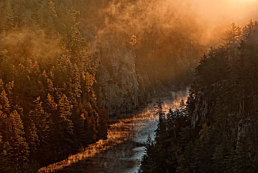 薄雾,上升,黎明,阿尔冈金,峡谷,安大略省,加拿大