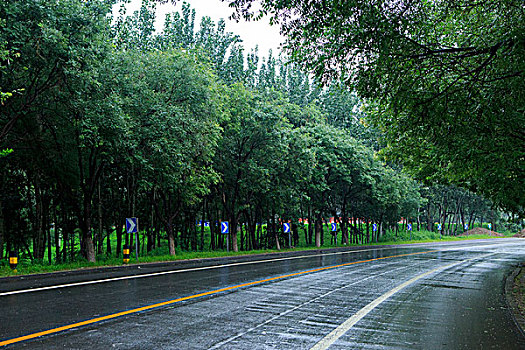 北京永定河左堤路,雨后路面