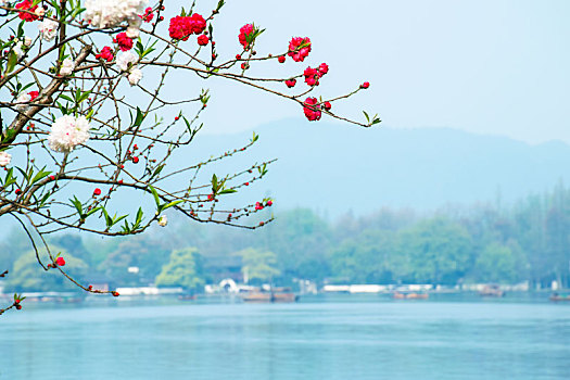 杭州西湖苏堤春晓