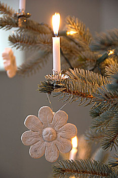 燃烛,装饰,圣诞树