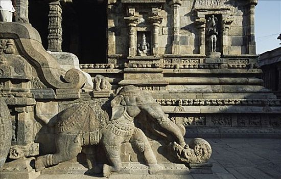 雕塑,大象,庙宇,泰米尔纳德邦,印度