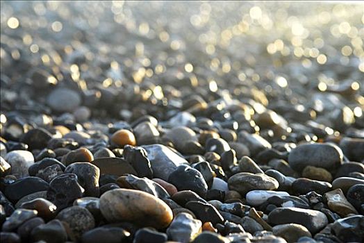 鹅卵石,海滩,阳光