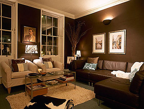 现代,褐色,起居室,沙发,扶手椅,勒-柯布西耶,躺椅