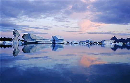 冰山,威廉王子湾,阿拉斯加,美国