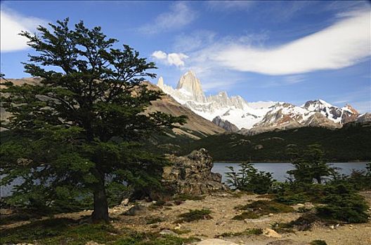 山,菲茨罗伊,3375米,洛斯格拉希亚雷斯国家公园,巴塔哥尼亚,阿根廷,南美