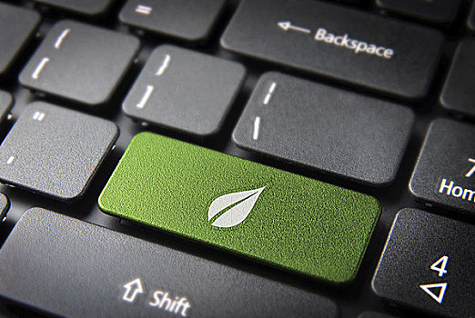 绿叶,键盘,按键,环境,背景