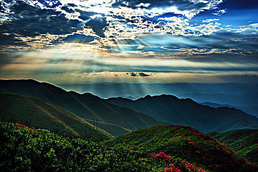 映山红,杜鹃,群山,云,雾,花,耶稣光,光影,太阳,美景,风光,春天,高山杜鹃,花朵,云层,路,路面,山脊