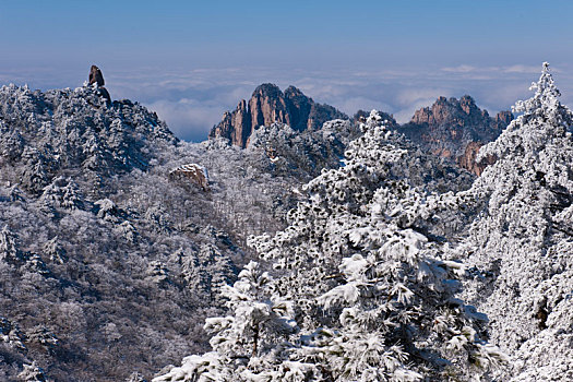 最美黄山冬雪时