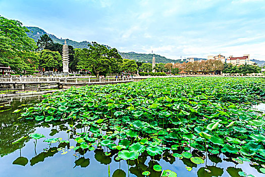 厦门南普陀寺