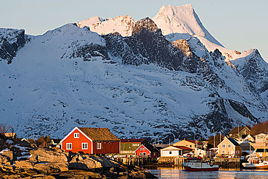 乡村,瑞恩,早晨,冬天,罗浮敦群岛,挪威