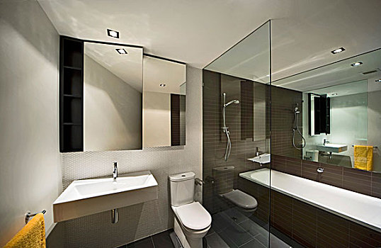 浴室,房子,墨尔本,澳大利亚,建筑师,洞穴,2008年