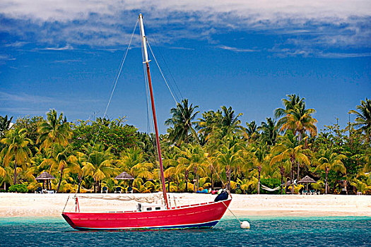 红色,帆船,停泊,棕榈岛,格林纳丁斯群岛,西印度群岛