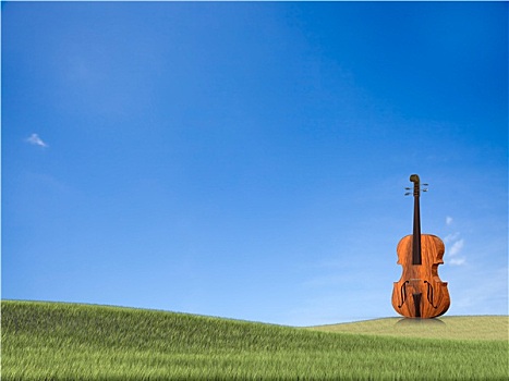 大提琴,隔绝,白色背景