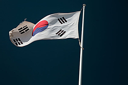 旗帜,韩国