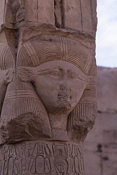 埃及,丹达拉,哈索尔神庙,柱子,哈索尔,母牛