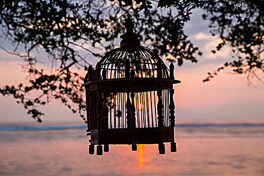 剪影,空,鸟笼,悬挂,树,日落,龙目岛,印度尼西亚
