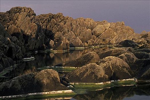 石头,水池,头部,岛屿,爱尔兰