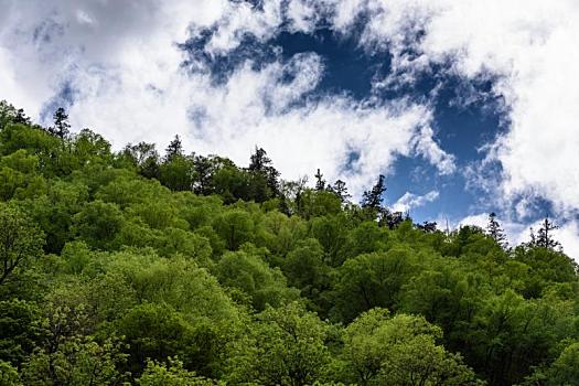 中国四川阿坝州马尔康梭磨河大峡谷风光