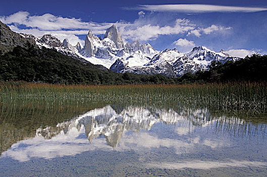 阿根廷,洛斯格拉希亚雷斯国家公园,巴塔哥尼亚,泻湖,卡普里岛