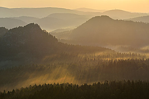 雾,雾气,早晨,砂岩,山,撒克逊瑞士,萨克森,德国,欧洲