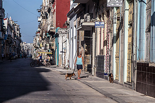古巴-哈瓦那的街景