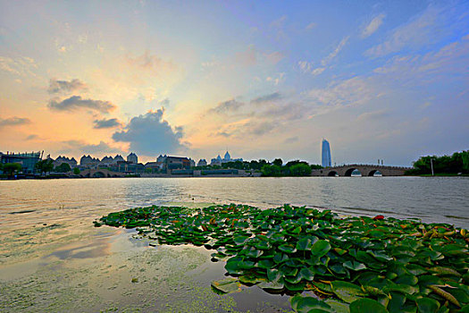 苏州金鸡湖风光