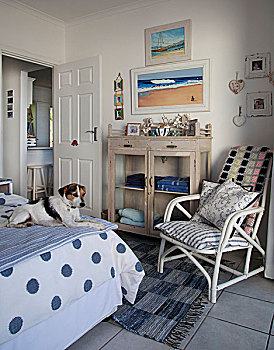 狗,床,白色,竹子,椅子,垫子,柜子,玻璃门,卧室