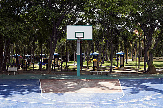 球筐,篮球,公园,球场,树