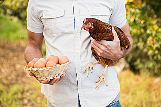 高兴,农民,拿着,鸡,蛋,晴天
