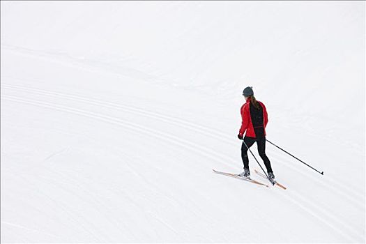 后视图,女人,越野滑雪,不列颠哥伦比亚省,加拿大