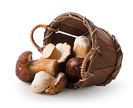 蘑菇,篮子