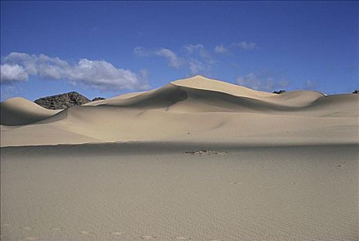 阿杰尔高原,国家公园,阿尔及利亚