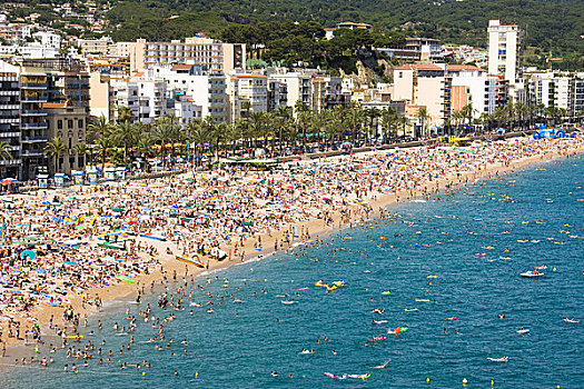 海滩,哥斯达黎加,加泰罗尼亚,西班牙
