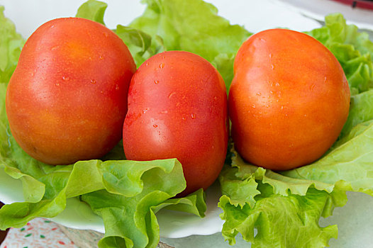 西红柿,莴苣,健康食物,概念,减肥
