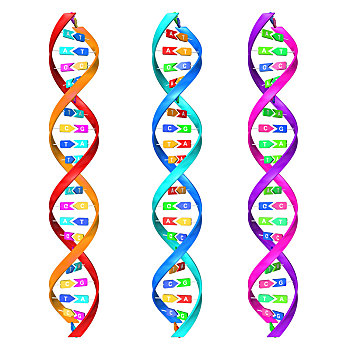 三维dna概念图
