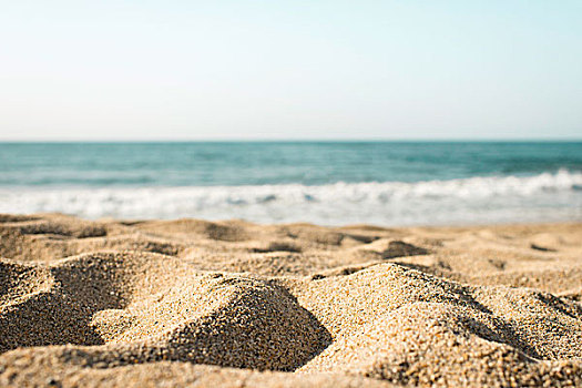 沙丘,海洋,聚焦,沙子