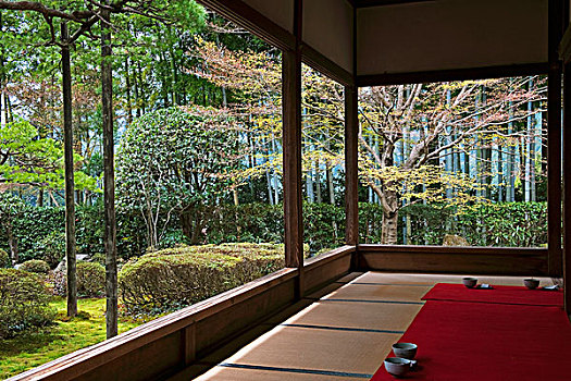 树,灌木丛,注视,画廊,庙宇,靠近,京都