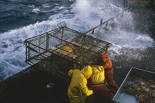 捕鱼者,工作,甲板,坏天气,白令海,螃蟹,季节