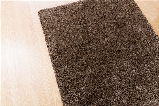 褐色,地毯,在家