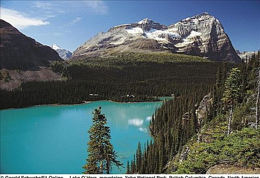 湖,山峦,幽鹤国家公园,不列颠哥伦比亚省,加拿大,北美