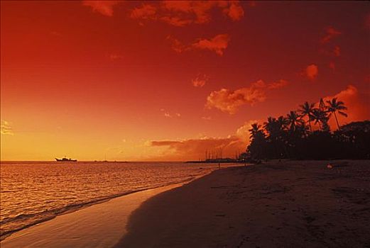 海滩,黄昏,夏威夷,美国